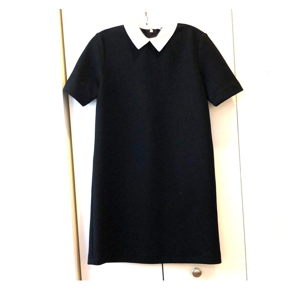 Zara XS dress
